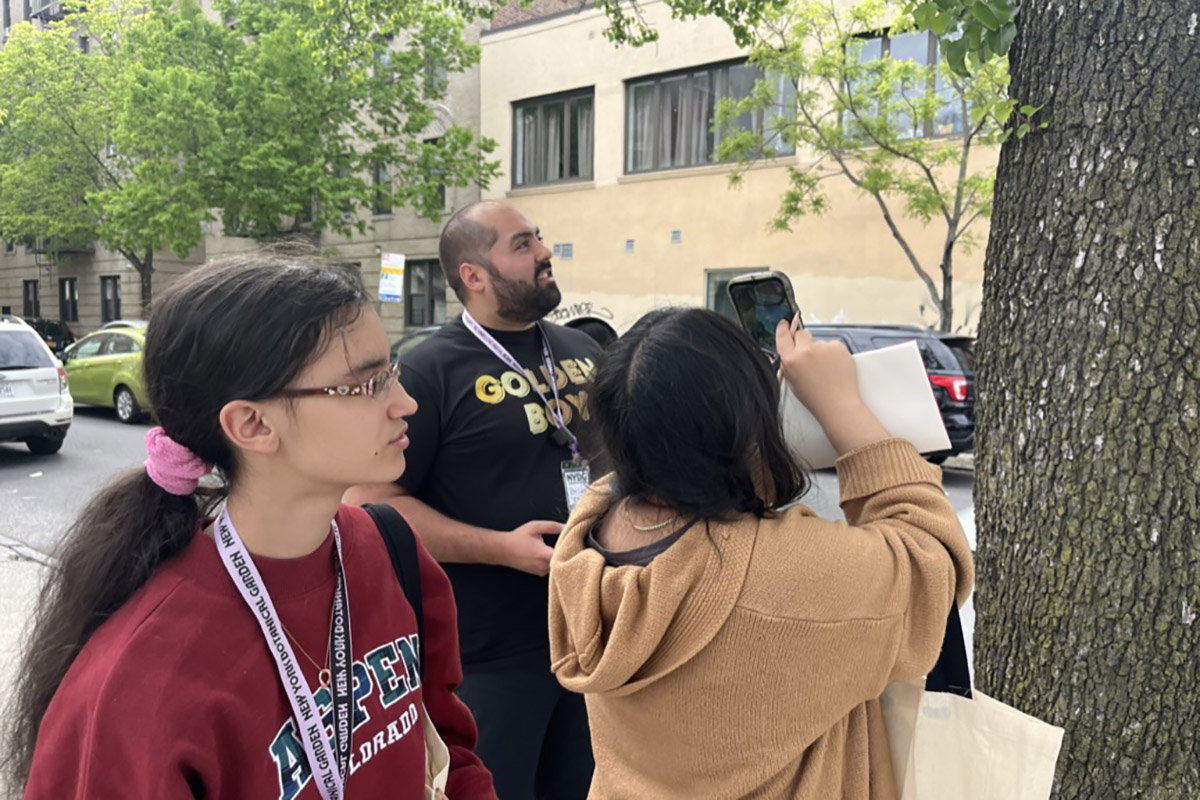 Students and their teacher use a smartphone to photograph a tall street tree.