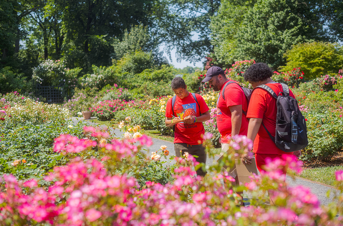 Students in red shirts and backpacks admire pink flowers in a sunny outdoor green space.
