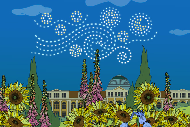 An illustration of a starry evening sky over a field of yellow flowers